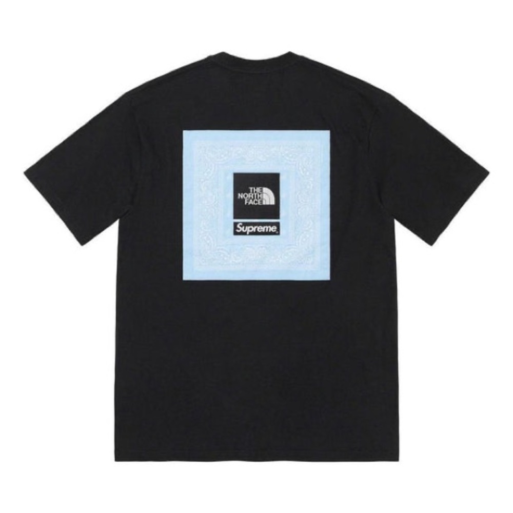 Supreme x The North Face Bandana Tee
